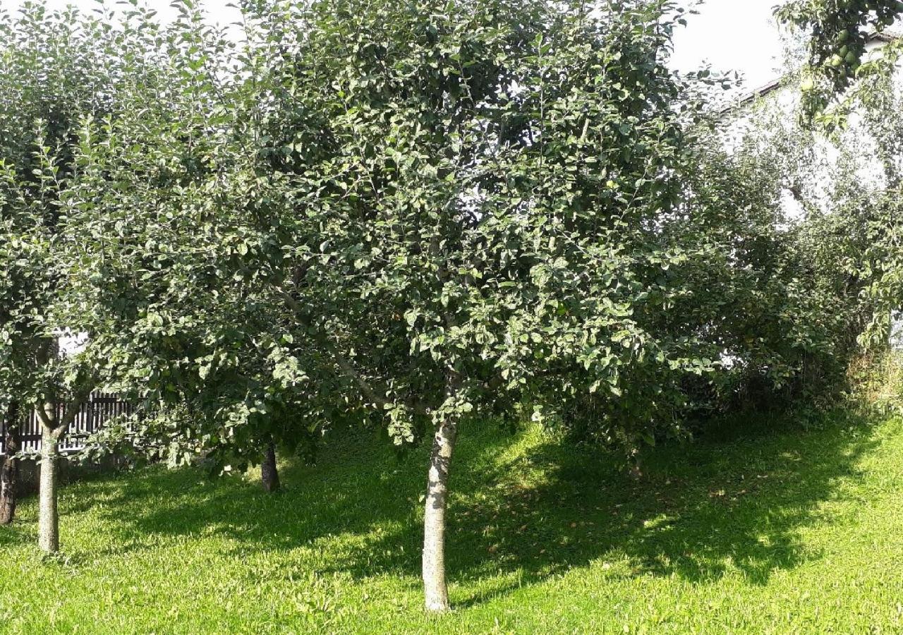 דירות גילכינג Landhof Sedlmair מראה חיצוני תמונה